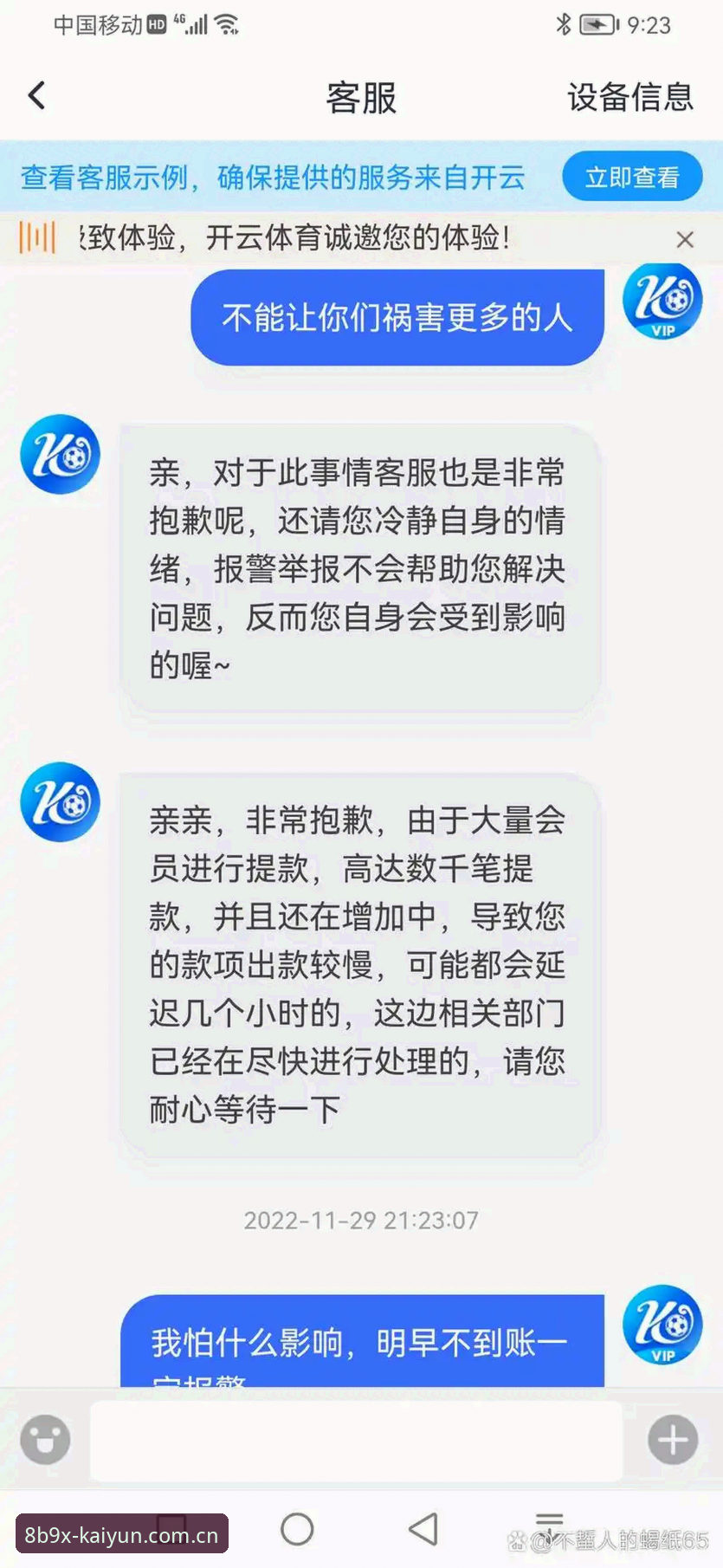 揭秘开云体育下载背后的真相：版本升级与账户安全全解析